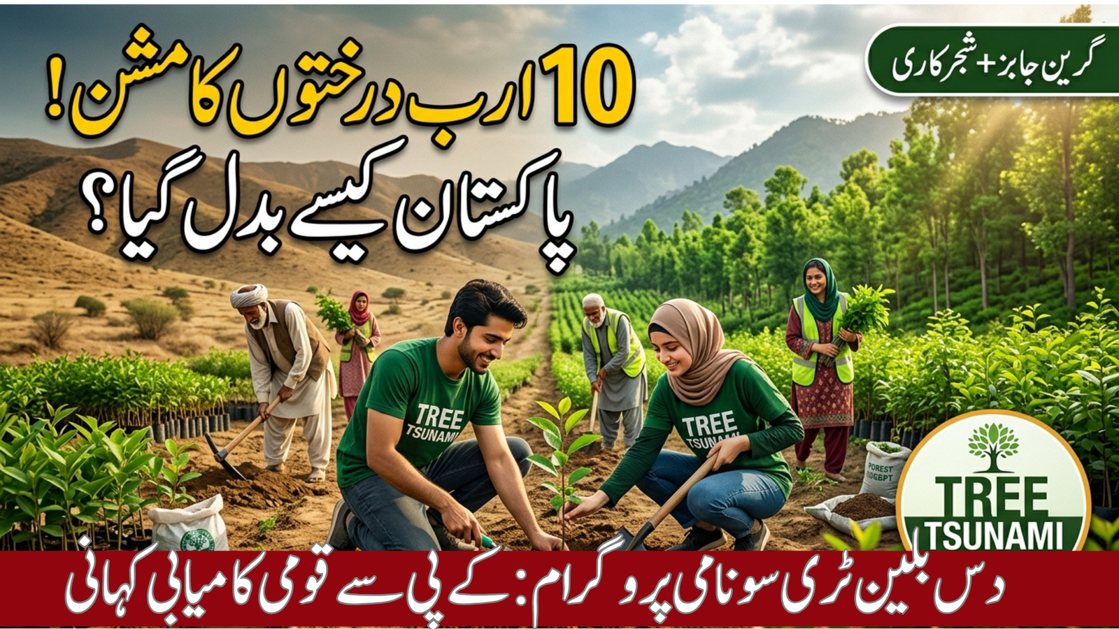 Ten Billion Tree Tsunami Programme 2026 Free Complete Guide